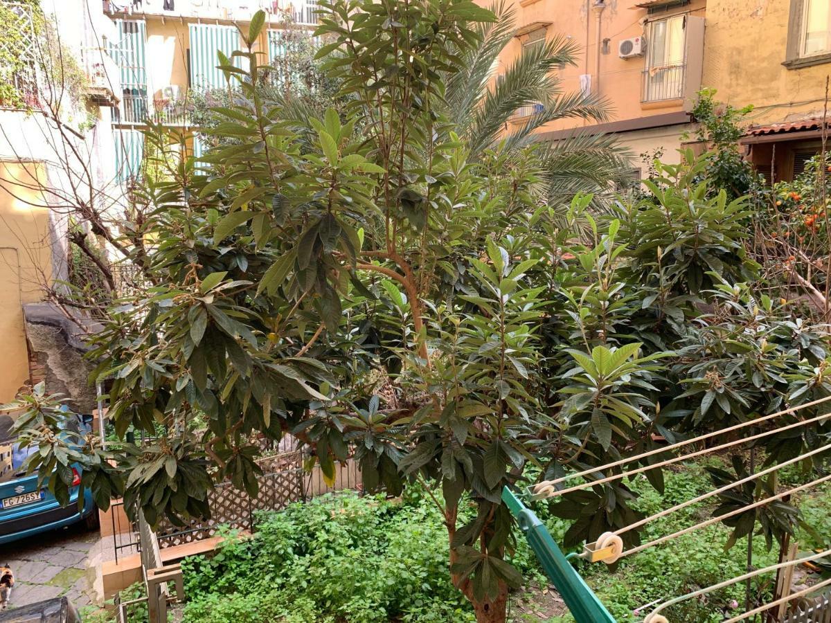 Da Ninetta Resterete Senza Parole, Garantito! Neapol Exteriér fotografie